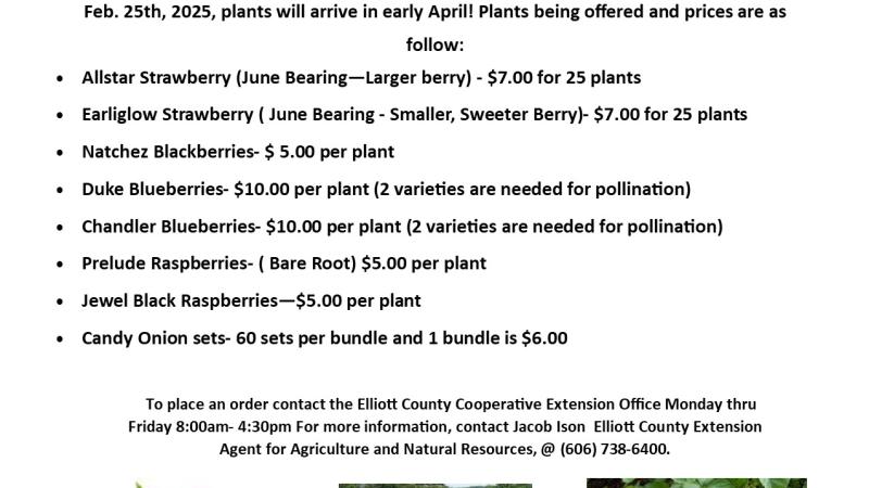 2025 Plant orders