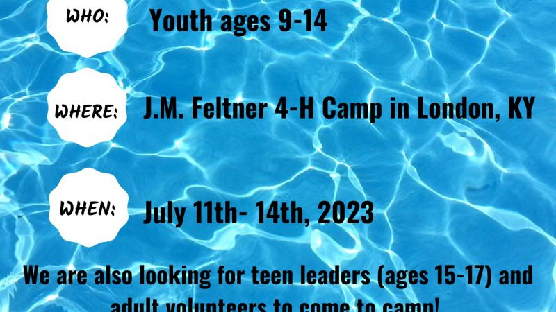 4-H Camp Flyer 