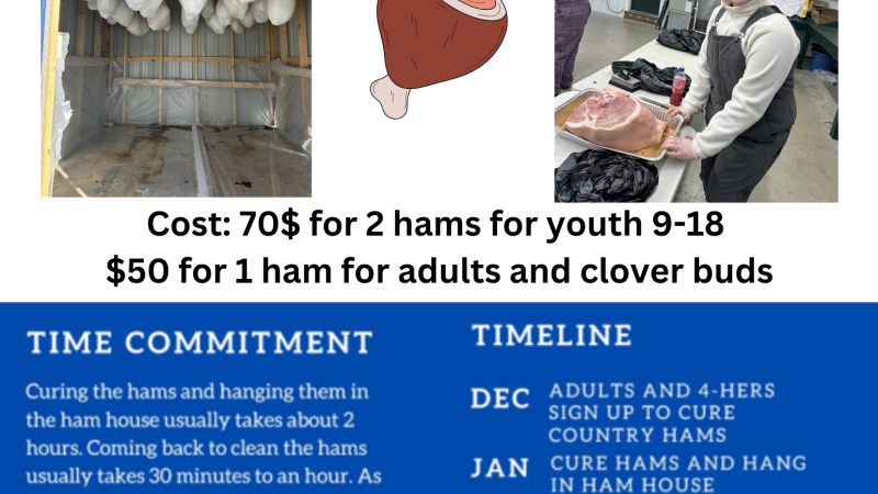 4-H Country Ham Project 